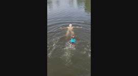Pet dog leaps into pond to swim with fur dad