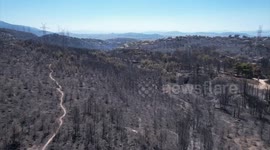 Greece: Devastating wildfire in Greece leaves thousands displaced as relief work underway