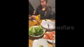 Family did not invite their dog to dinner