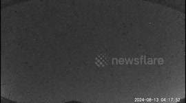 Japan: Perseid Meteor Shower Observed Across Country 3