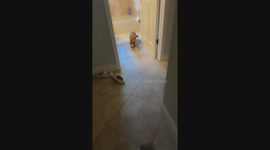 Morning routine
