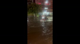 Cat balances on motorcycle rider's shoulders to travel through flood