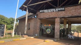 Kenya: Wildebeest migration draws scores of tourists to Kenya's Maasai Mara