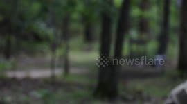 USA: TRADOC Best Squad day 4