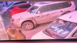 Sleeping hotel worker quietly slips away during huge bear's frightening break-in