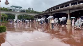 Japan: Tokyo Disneyland And DisneySea Close Early Due To Typhoon Ampil