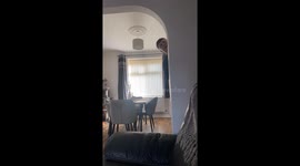 Sibling fun: Brother's magic wheel illusion makes sister laugh out loud
