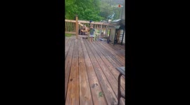 Heartwarming moment: Baby runs to mom for the first time without falling