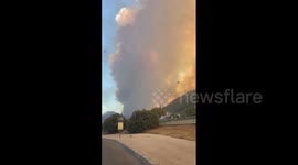 Turkey: Forest Fire Threatens Homes, Prompts Evacuation In Izmir 5