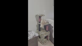 Simba's Unique Meditation Style