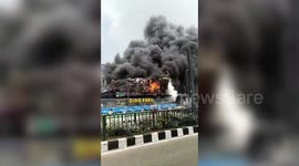 India: Massive blaze engulfs park in southern India, firefighters contain the flames