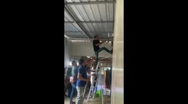 Wildlife handlers catch monitor lizard by the tail in family's home roof