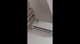 Mouse peering over air conditioner startles residents