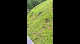 Family walk takes an unexpected turn as little girl tumbles down a hill