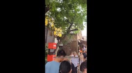 An ancient town with a history of 600 years