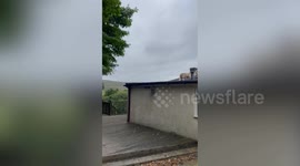 Shocked homeowner describes how she found a flock of sheep on her roof