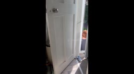 Scare prank on sister during FaceTime call turns into a laughter fest