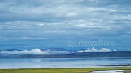 Scientific surveys valuable for safeguarding ecology on