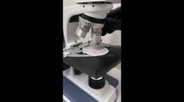 Here’s what tea bags look like under a microscope. Filmed on a microscope