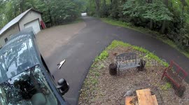 Amazon Driver Appears to Damage Tree