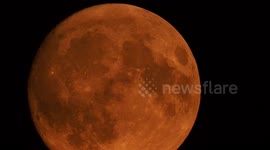 Stunning almost full Sturgeon Blue supermoon seen rising in Kent, UK