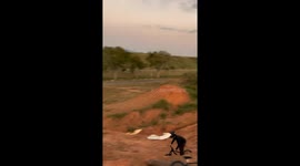 Cyclist Fails to Land Flip