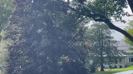 Flash Flood in Litchfield CT, USA