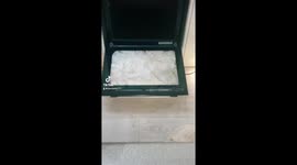 Fancy oven doilies inside of door storage space beautiful flowers on top of cooker
