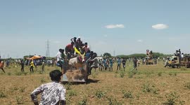 Bull hits two people during Jallikattu festival in Karaikudi, Tamil Nadu