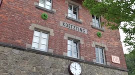 TCM treatments gain recognition in Germany for effectiveness
