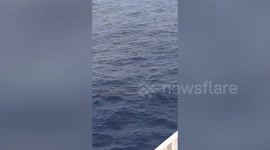 Stranded fisherman rescued 'after hit-and-run sea accident' off Philippine coast