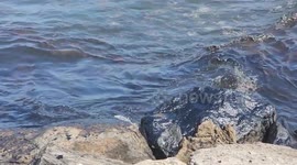 Venezuelan cost hit by oil spill, slicks wash ashore