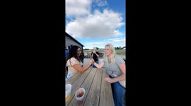 Night out turns painful as woman breaks humerus in arm wrestling match