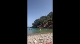 Sunbathing With a Donkey on the Beach