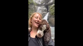 Cuddly Spaniel Is Perfect Selfie Partner