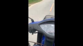 Bumpy Road Tips Dog Off Trailer