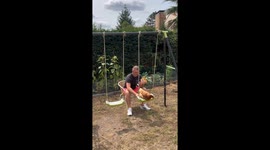 Chicken Gets Pushed on Swing