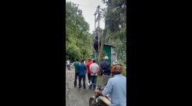 Mother bear and cub electrocuted at beauty spot in India