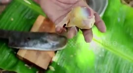 Chef arrested for making curry from Indian national bird