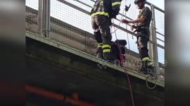 Firemen rescue dog stranded on overpass in Italy