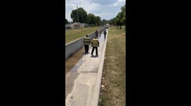 Four firefighters lift stranded fawn out of drain and reunite with mum