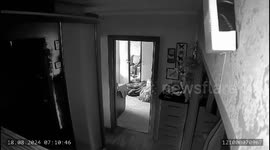 Powerful earthquake hits Kamchatka, Russia