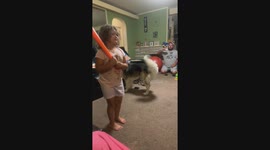 Bat hits glass instead of ball in wheeling, WV, USA house