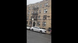 Dog spotted watching streets from window in Astoria, Queens, NY