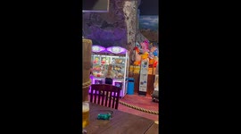 Girl is over the moon after winning her first teddy from a claw machine
