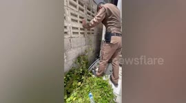 Bungling thief falls into building gap while fleeing from police