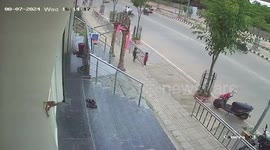 Horror moment stray dog viciously attacks toddler as mum rushes to his aid