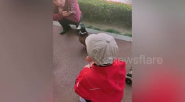 Wild duck seeks help from park-goers after choking in China