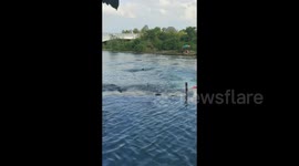 China: Lucky Child Been Rescued From Drowning