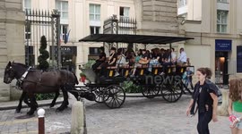 Horse-drawn